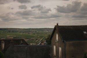 Viticulture en Centre-Val de Loire : Sancerre, Pouilly-Fumé et Vouvray en plein essor