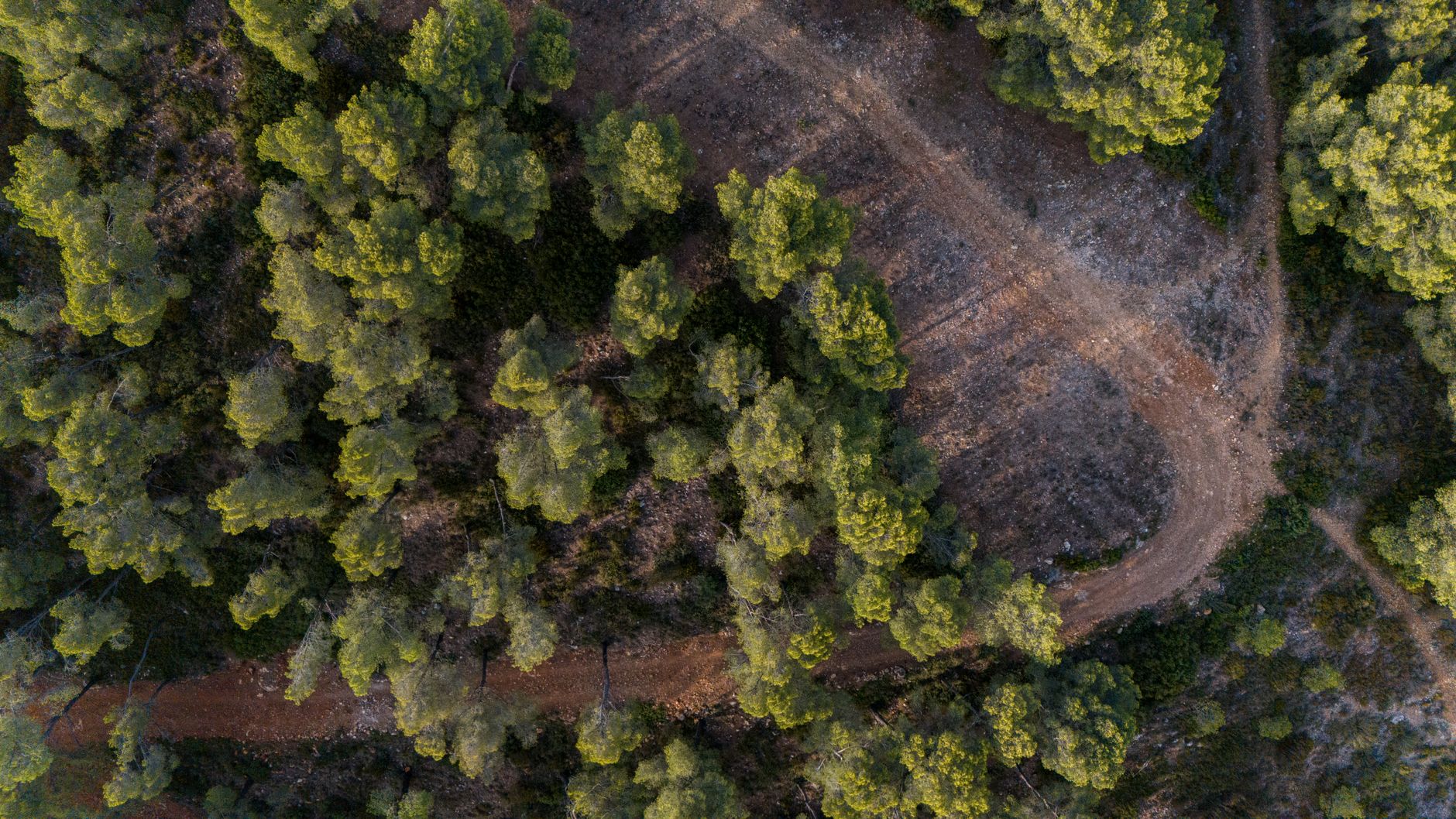 Feux de forêt dans le Sud : 310 hectares ravagés, 600 évacuations — comment protéger votre maison en zone à risque