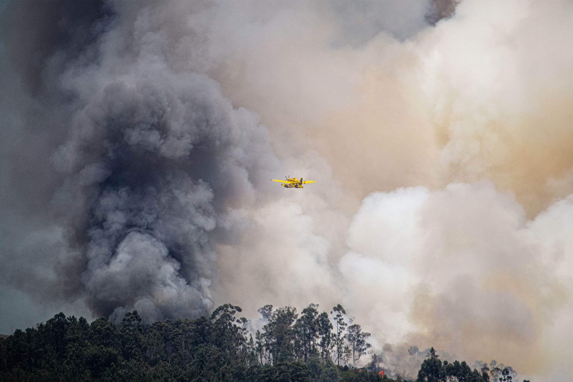Incendies de forêt 2026 : plus de 32 000 hectares brûlés en France, un record historique — manque de Canadairs et sécheresse généralisée